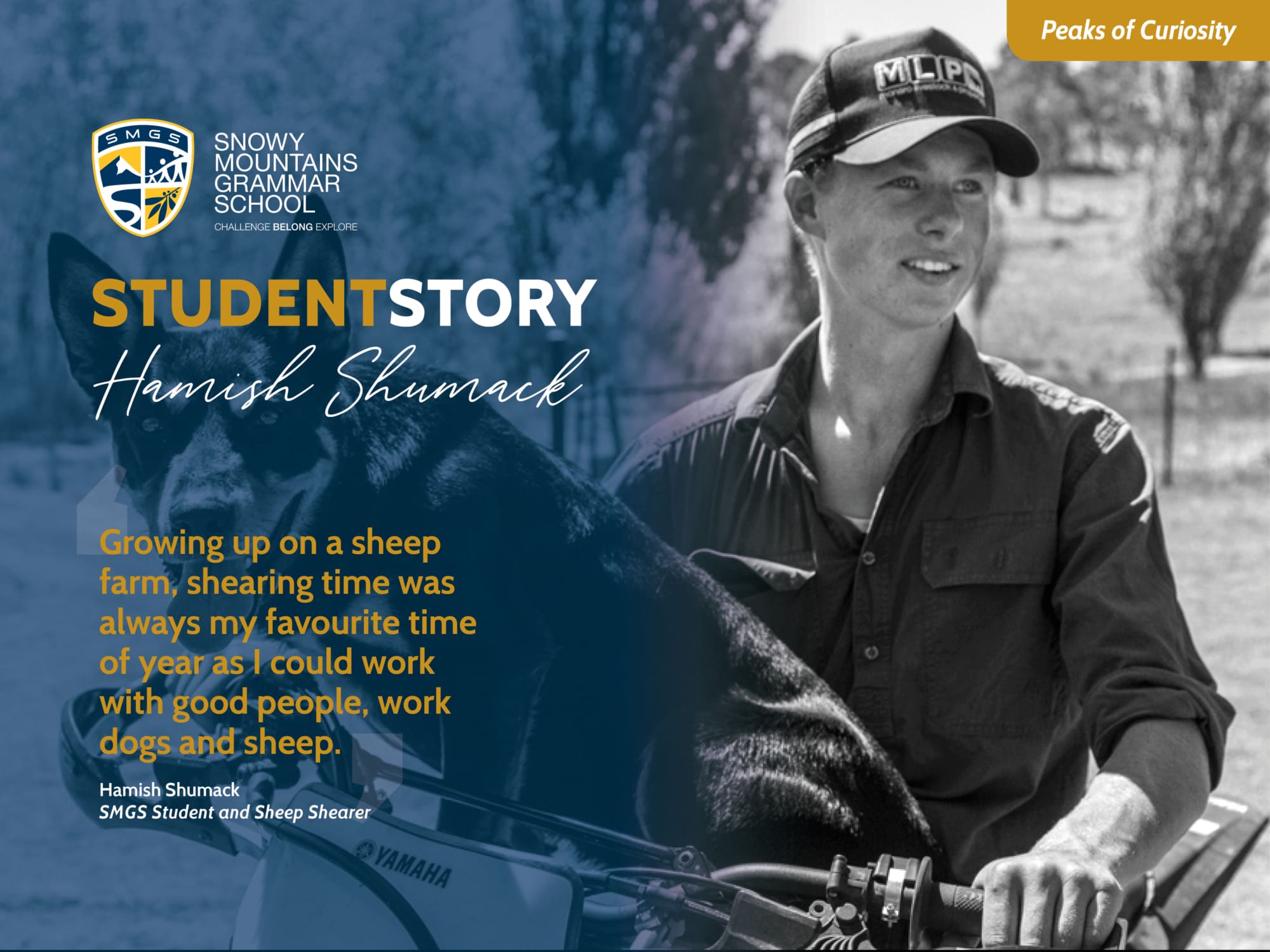 Student Story – Hamish Shumack – Skills, Sheep and a Shearing Career