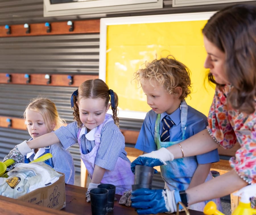 smgs learning early learning internal 3 | Snowy Mountains Grammar School | Junior School