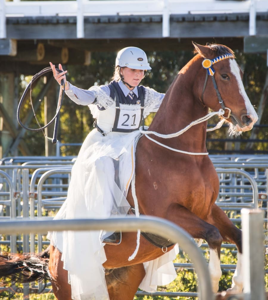 smgs middle school slider 1 | Snowy Mountains Grammar School | Welcome