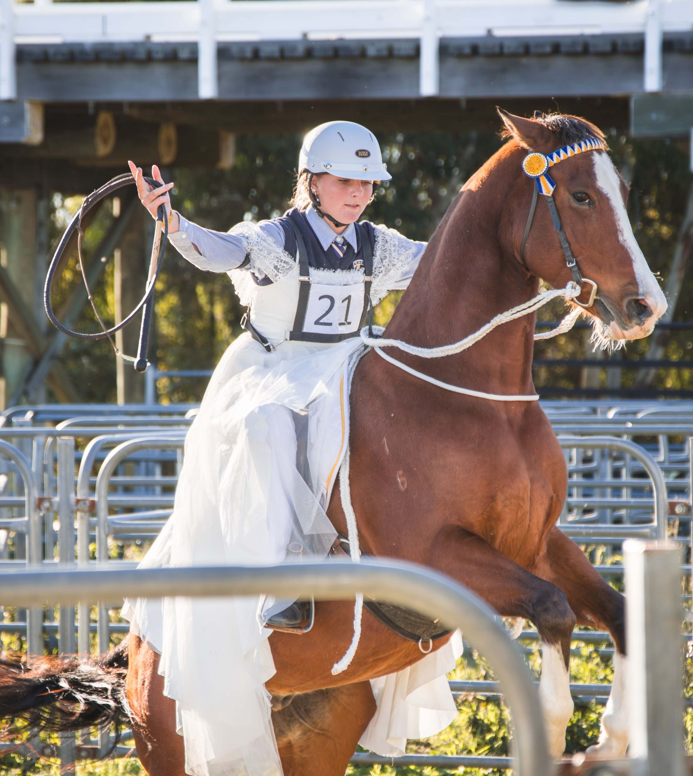 smgs middle school slider 1 scaled | Snowy Mountains Grammar School | Middle School
