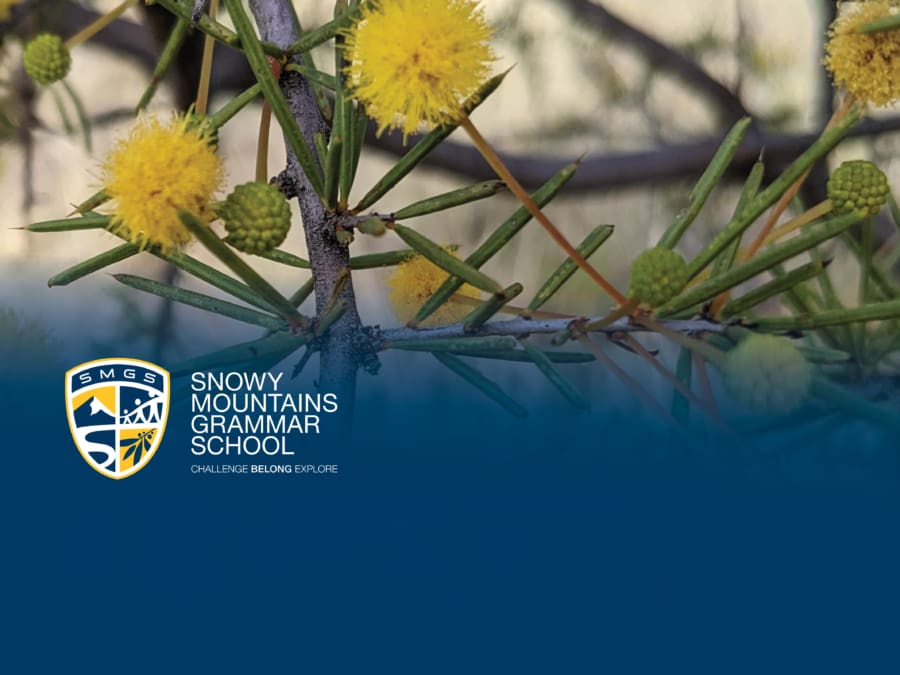 2025HSC BlogPost1 | Snowy Mountains Grammar School | Strong Academic Culture Drives Standout HSC Results at Snowy Mountains Grammar School 