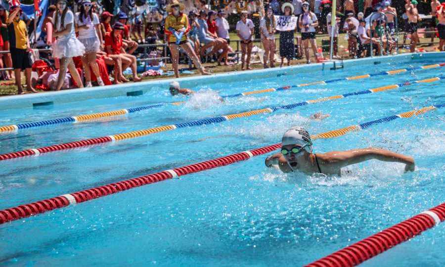 Breast Stroke Senior 1 | Snowy Mountains Grammar School | Two Days. One Community: Swimming Carnivals