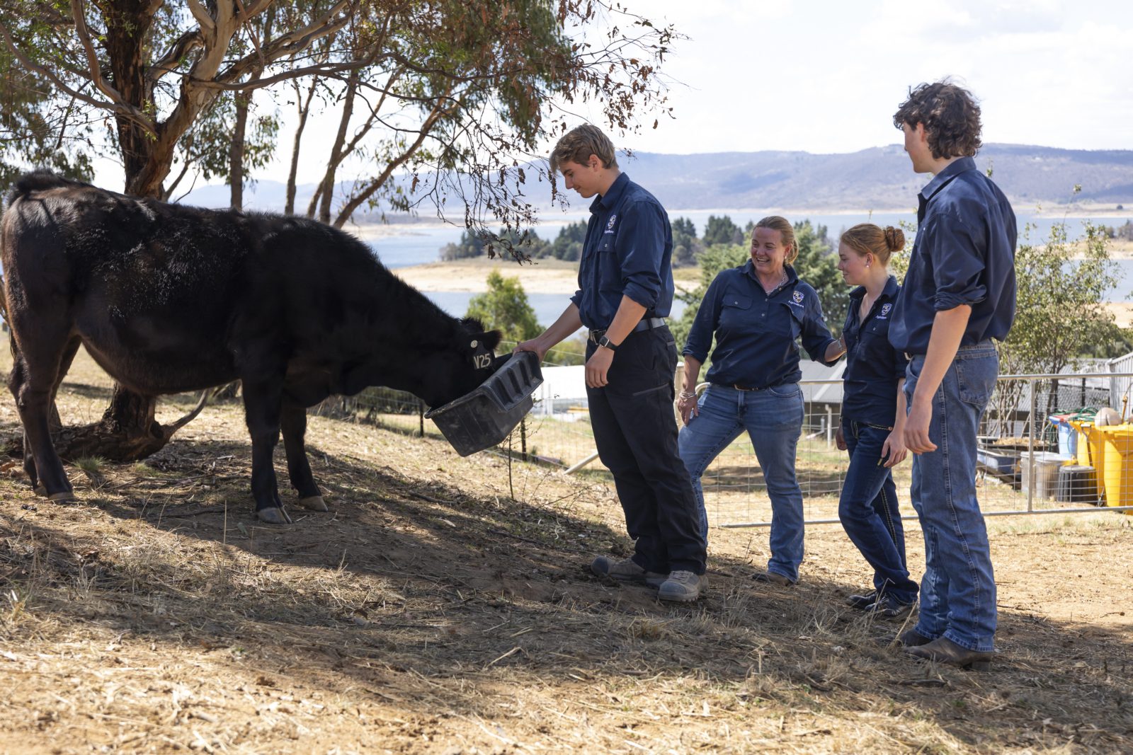 250317 91A4953 SMGS Agriculture | Snowy Mountains Grammar School | Year 11 Subject Selection