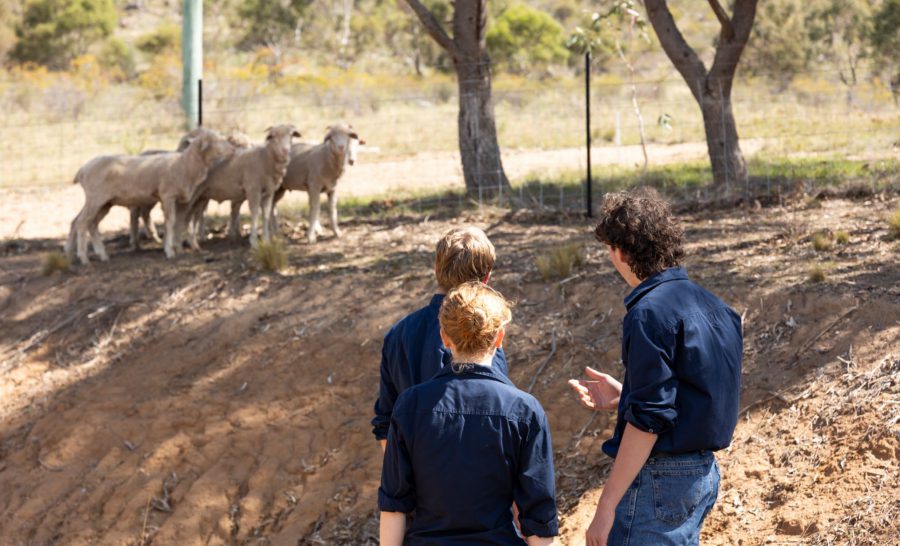 fig image 14 128 | Snowy Mountains Grammar School | Agricultural Technology
