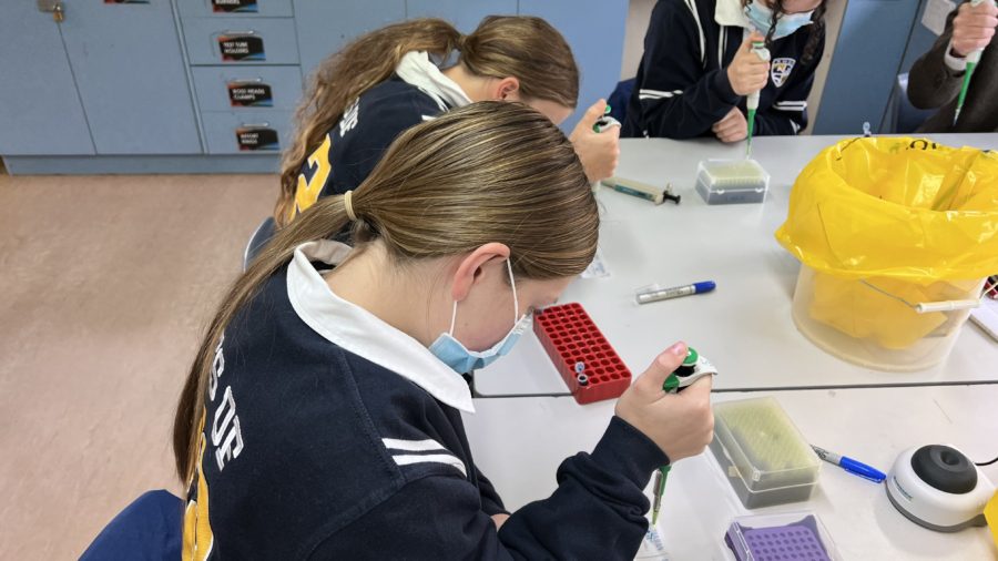 2022 06 14 09.18.27 | Snowy Mountains Grammar School | Biology