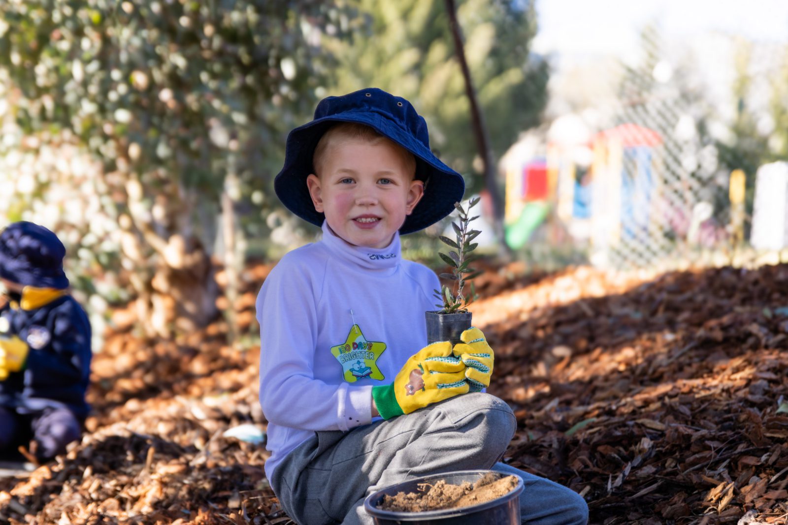 26072024 100 Days Planting 1 7 | Snowy Mountains Grammar School | Starting Kindergarten