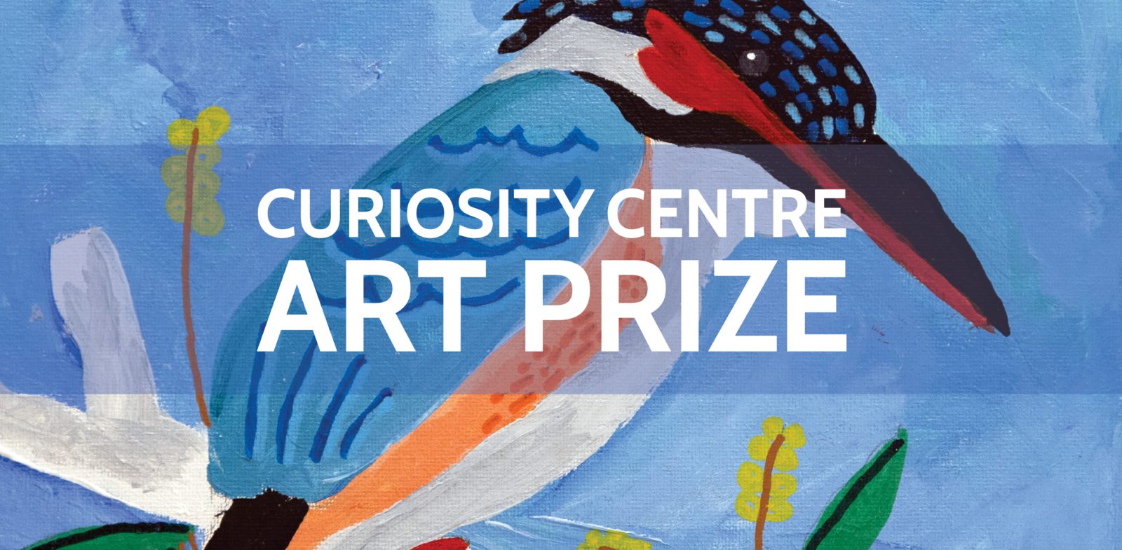 CCArtPrize | Snowy Mountains Grammar School | Home
